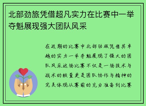 北部劲旅凭借超凡实力在比赛中一举夺魁展现强大团队风采