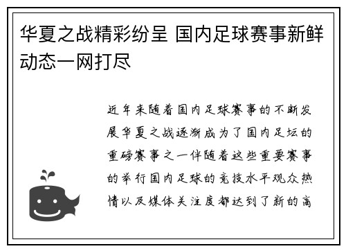 华夏之战精彩纷呈 国内足球赛事新鲜动态一网打尽